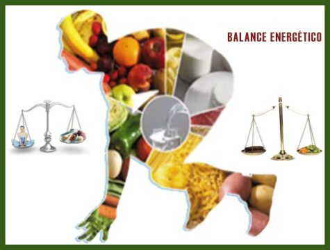 Aquí te decimos qué es el balance energético THE FOOD TECH Medio de