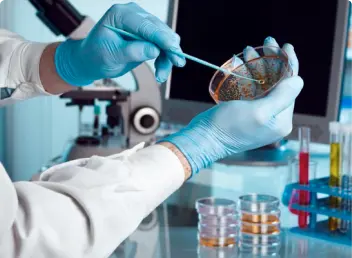 newsletter-thefoodtech.com