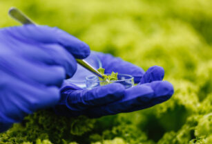 Biotecnología: futuro de la materia prima para los envases de plástico