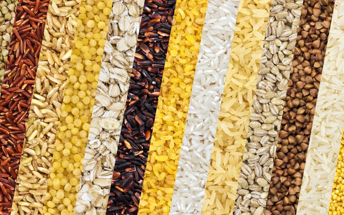 Innovación en el procesamiento de cereales: nuevos productos y aplicaciones para la industria alimentaria