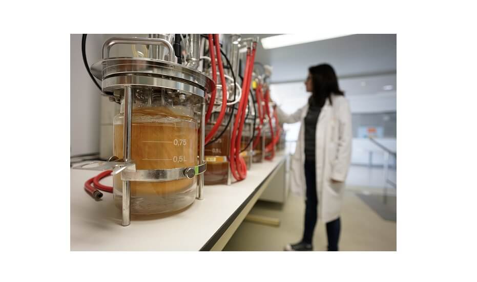 Biofactoría de microorganismos: una alternativa sostenible