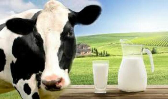 Sector lácteo, rumbo al carbono neutral