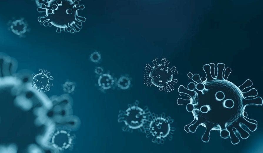 Los alimentos no transmiten el Covid-19