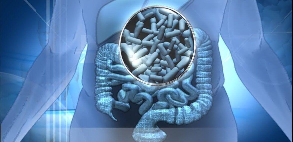 Por qué crece la demanda de salud digestiva