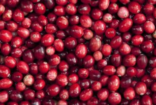 Cranberries benefician a los diabéticos de tipo 2