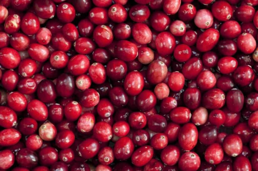 Cranberries benefician a los diabéticos de tipo 2
