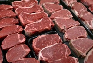 Brasil, lider en la exportacion de carne bovina y de pollo