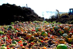 Despilfarro alimentario: la importancia de reducir, prevenir, reutilizar y reciclar