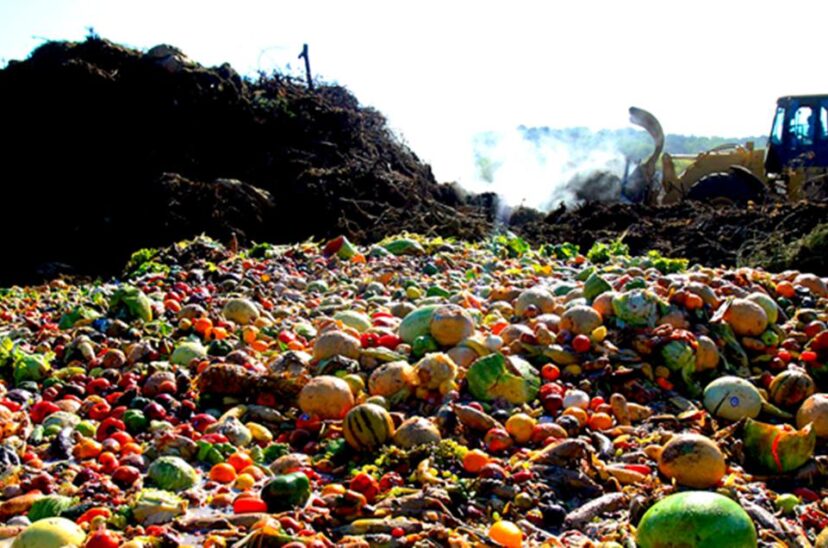 Despilfarro alimentario: la importancia de reducir, prevenir, reutilizar y reciclar