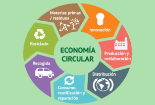Economía circular para un futuro sustentable