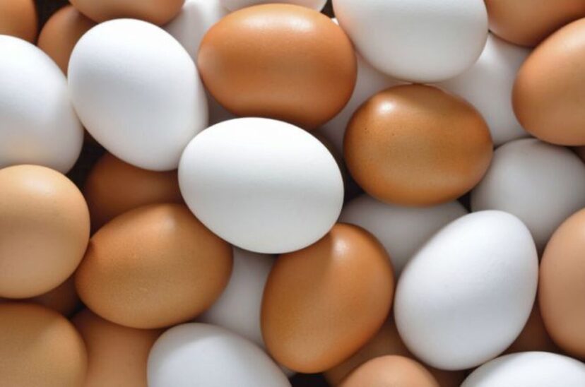 Celebrarán Semana Mundial del Huevo