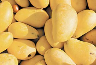 Givaudan presenta investigación en sabores Mango