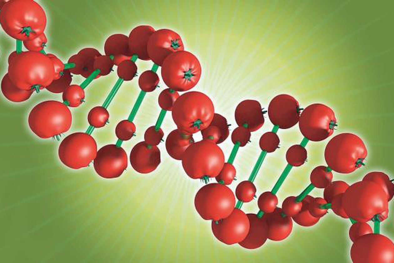 La alimentación del futuro se basará en la nutrigenómica