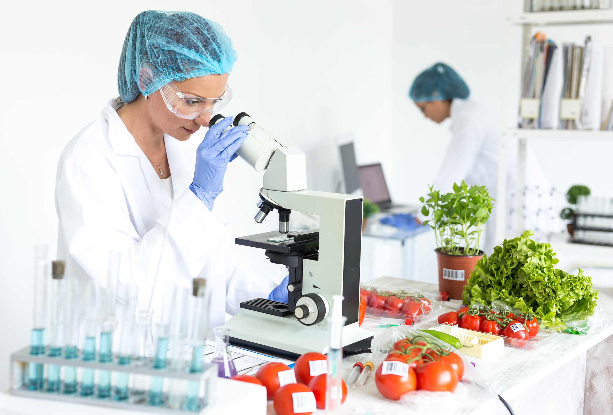 ISO 22002: clave para la seguridad alimentaria