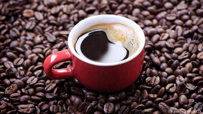 Café: producto natural y funcional