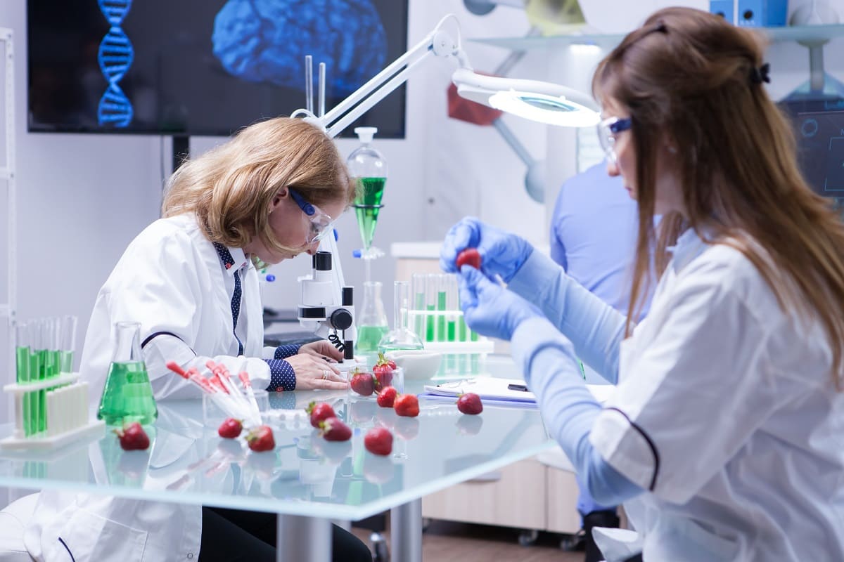 Nanotecnología en alimentos, te contamos qué es