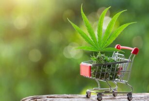 cannabis-industria-crecimiento