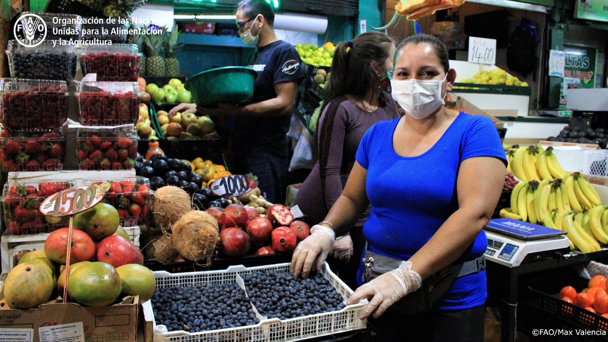 organización para la agricultura y la alimentación (fao)