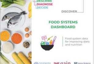 herramienta-food-system-dashboard
