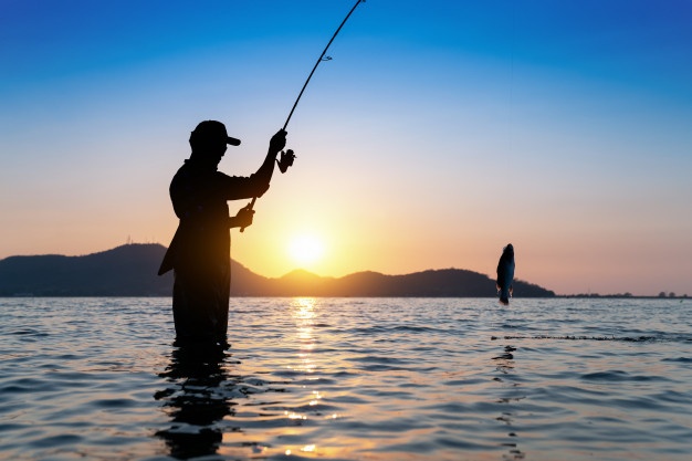 Cinco datos sobre el estado de la pesca en el mundo
