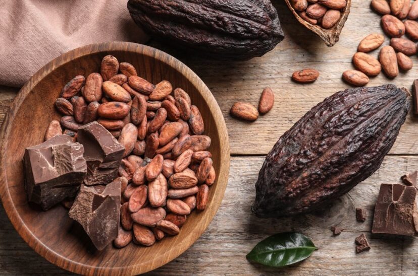 Cacao, un alimento de alto valor nutricional - THE FOOD TECH - Medio de noticias líder en la Industria de Alimentos y Bebidas
