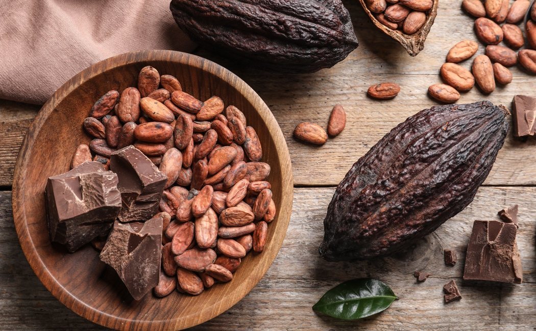 Cacao, un alimento de alto valor nutricional | The Food Tech