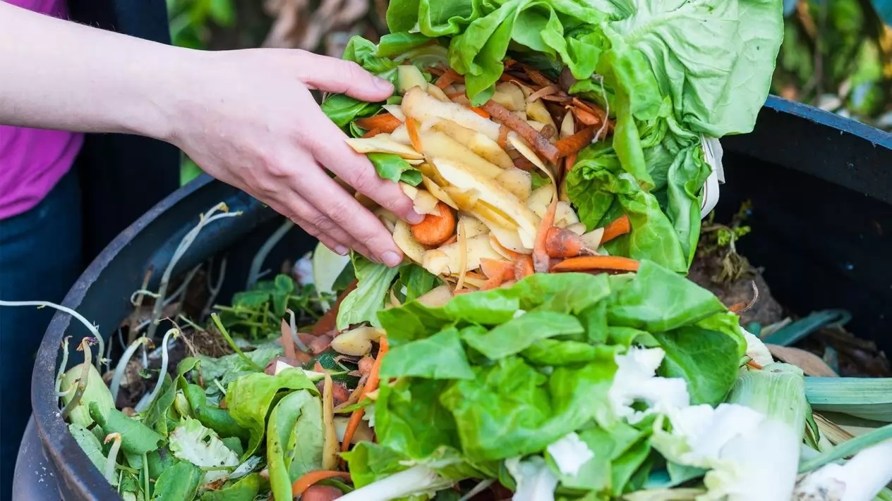 Hoy se celebra el día internacional del desperdicio de alimentos | The Food Tech