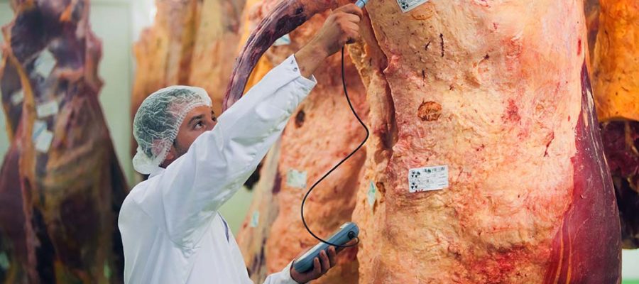 El sistema de trazabilidad en la industria cárnica