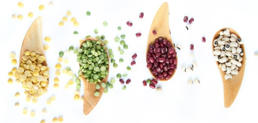 plant-based-ingredientes