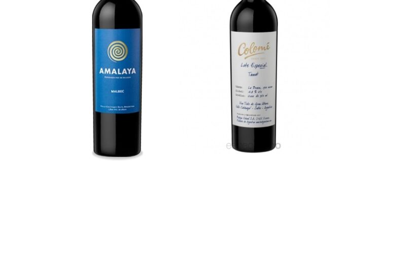Vinos-argentinos-son-reconocidos