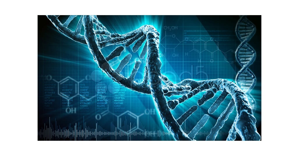 Afecta el ADN la transformación de grasa en el cuerpo