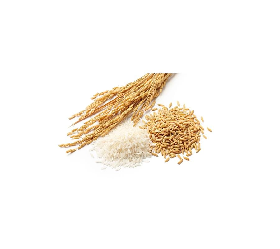 Amplían productos sin gluten para panificación