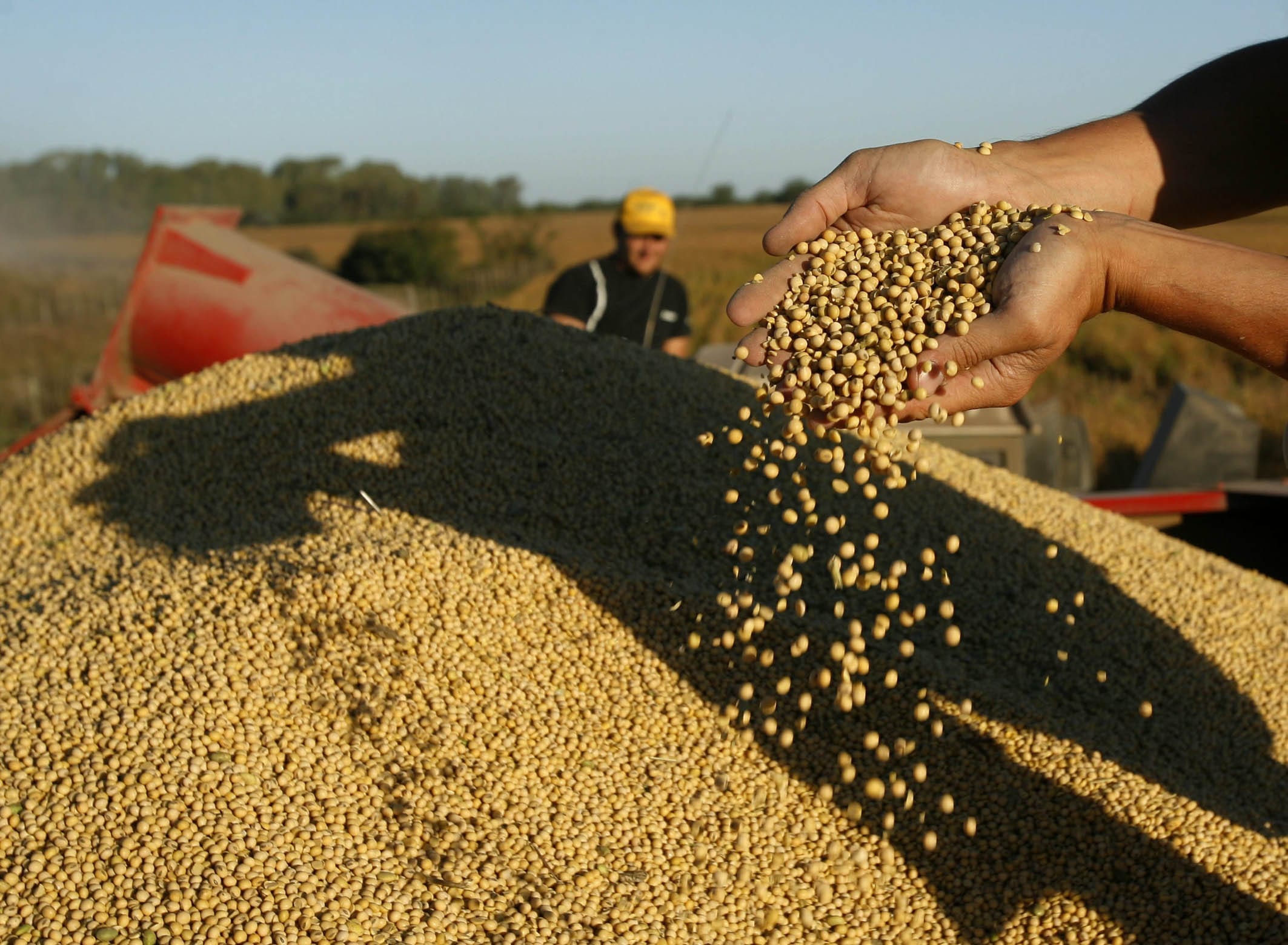 Analizan impacto de volatilidad en precios de alimentos