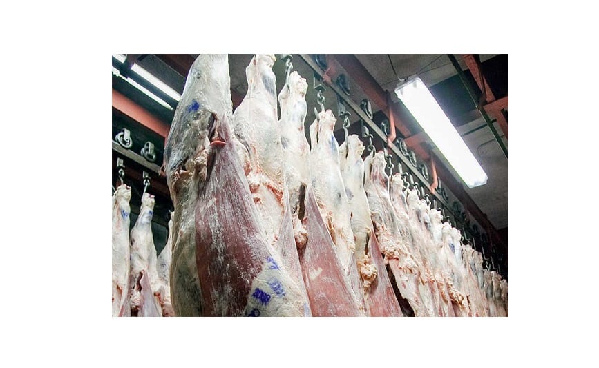 Argentina volverá a exportar carne bovina a EE.UU.