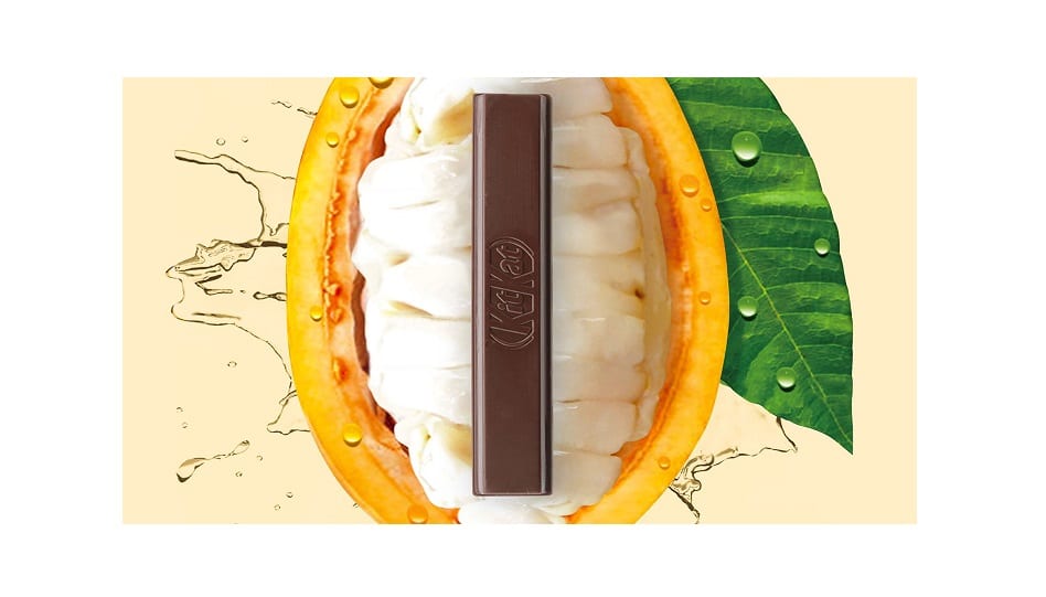 Auténtico chocolate de cacao