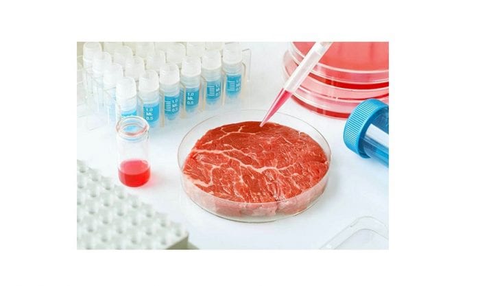 Consideran a la carne in vitro la opción alimentaria del futuro
