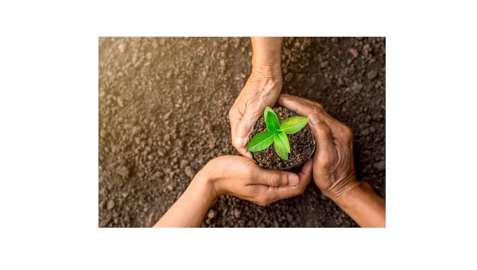 Consolida DuPont liderazgo en sostenibilidad