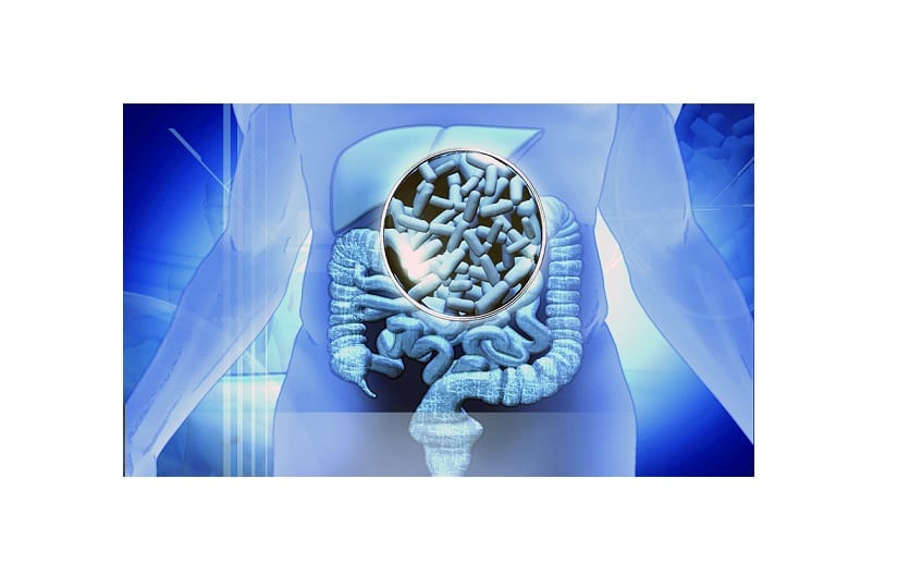 Consumir achicoria equilibra la microbiota en niños