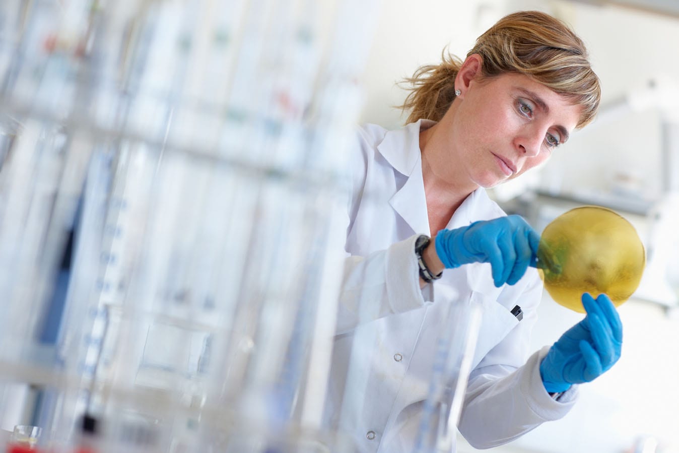 Crean envases que conservan alimentos hasta en 50% más