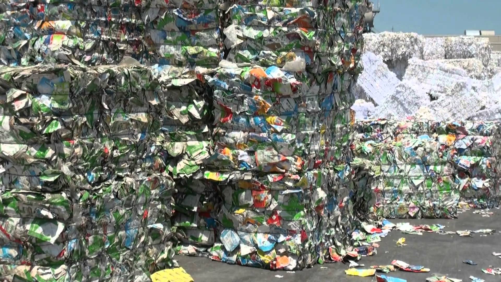 Cultura del reciclaje, la mejor forma de aprovechar el plástico | The Food Tech