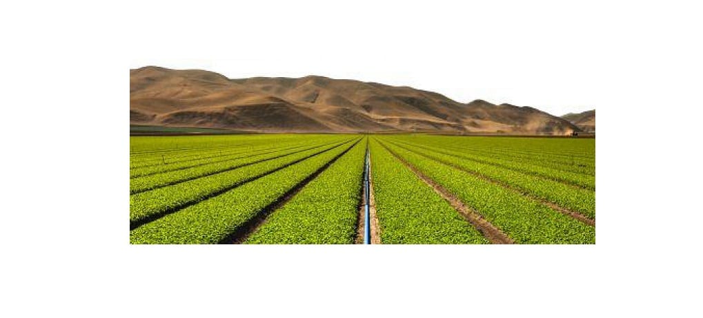 Desarrollan tecnología de riego para el campo