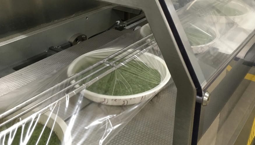 Desarrollan una plataforma para precocinados