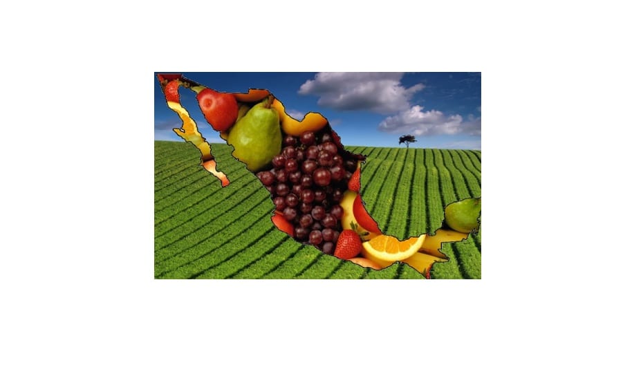 Es México importante proveedor de alimentos en el mundo