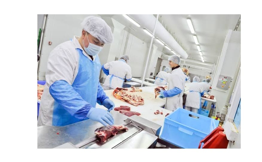 Higiene en alimentos, pieza clave en la seguridad alimentaria