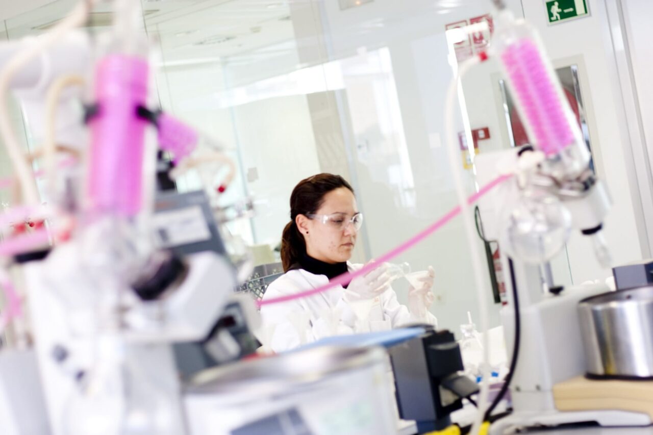 Eficacia y seguridad de los aditivos antioxidantes en la industria alimentaria