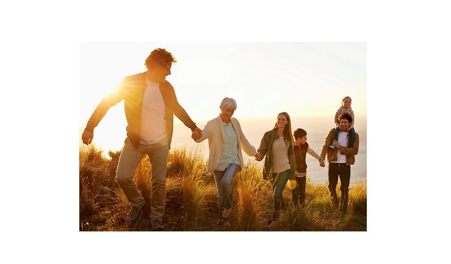 Innovan en soluciones para el segmento de suplementos dietarios