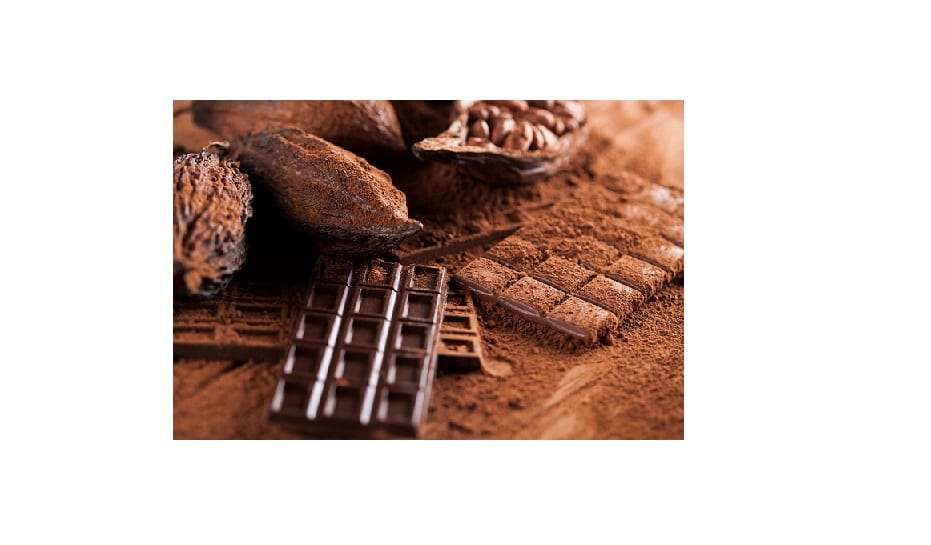 Lanzan estrategia de sostenibilidad para la producción de cacao