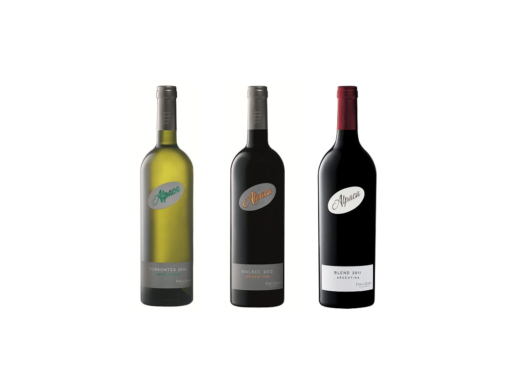 Línea Alpaca elegante y espirituosa