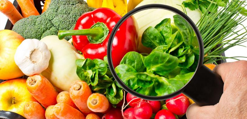 Manejar correctamente los alimentos reduce enfermedades