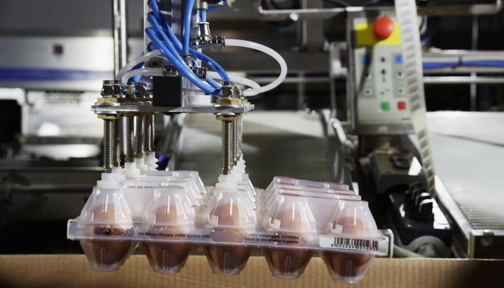 Mejoran producción alimenticia con inteligencia de datos